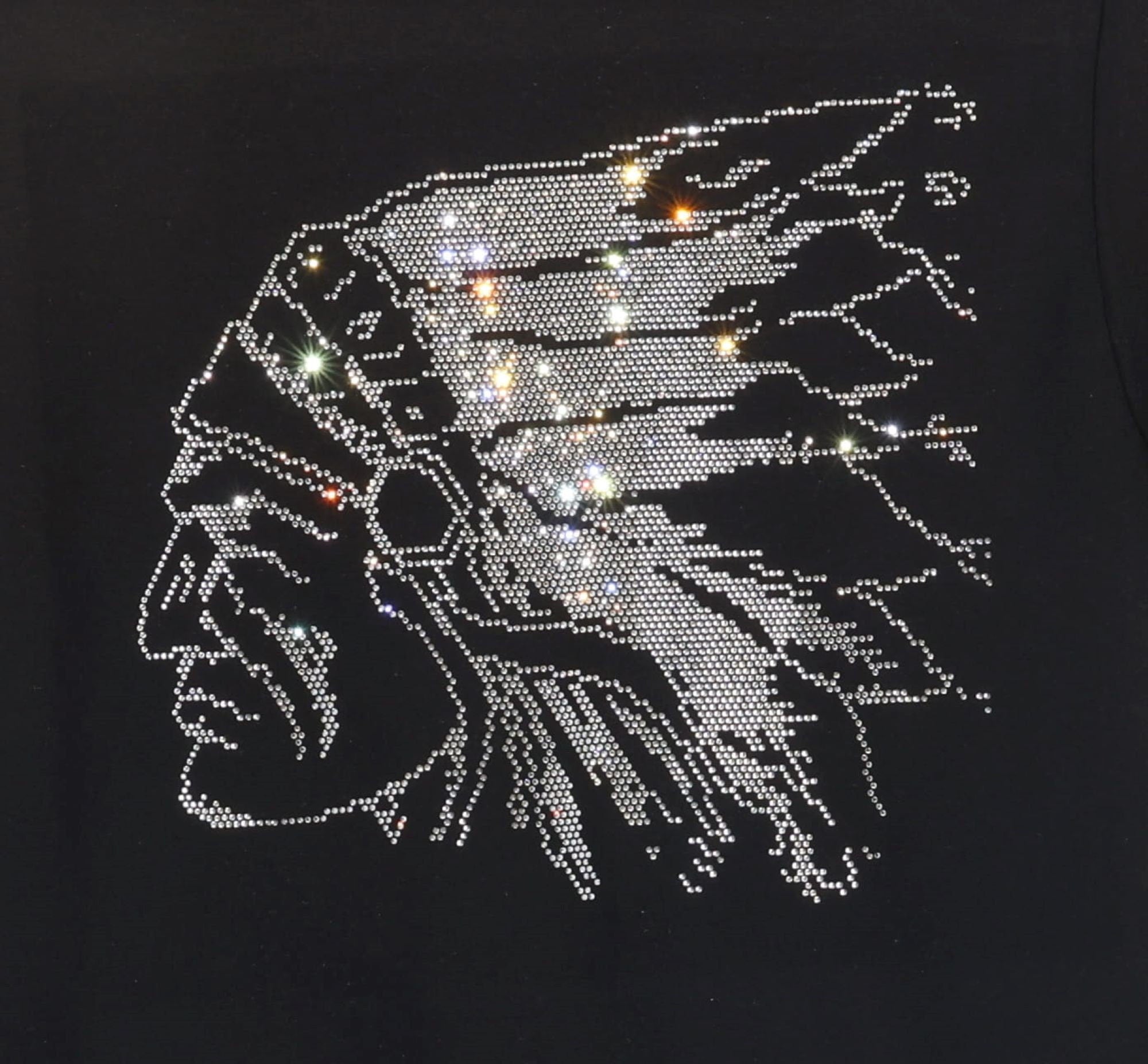Native Indian Rhinestone Bling T-Shirt, Indian Chief Shirt, Tribal Warrior Tee, Gift for History Lovers, Indigenous Feather Headdress Shirt