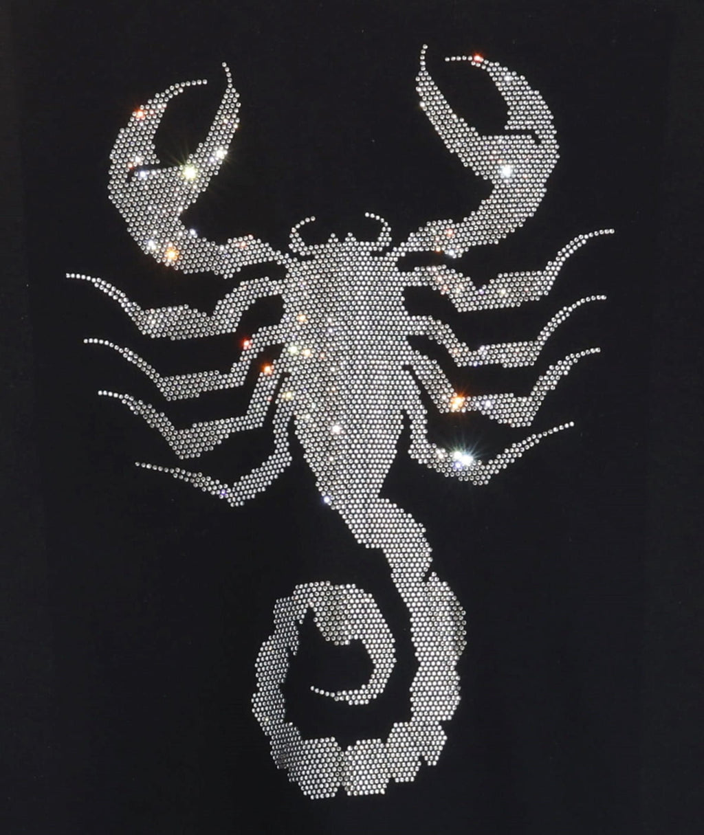 Scorpion Rhinestone T-Shirt: Gothic Celestial Energy Tee