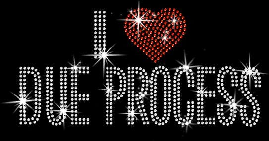 Rhinestone Snapback Hat: I Heart Due Process - Anti Fascist Bling Cap Secondary image