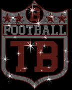 Tampa Bay Rhinestone Football Fan Shirt: Game Day Team Spirit