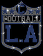 Los Angeles Vintage Style Football Rhinestone Shirt