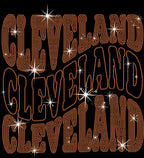 Cleveland Rhinestone Shirt: Sparkling Style Football Tee