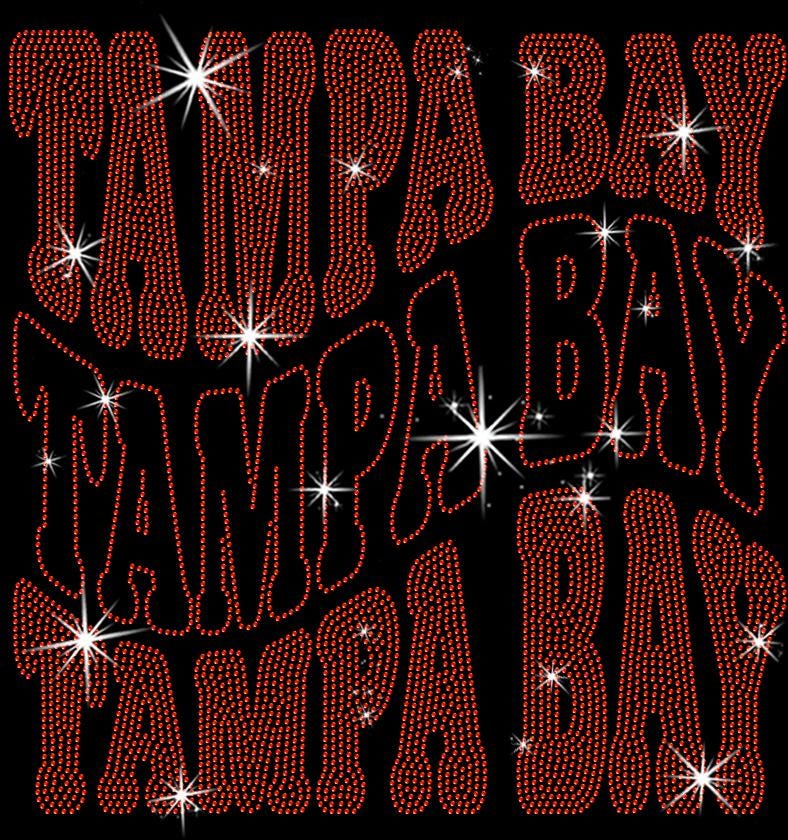 Tampa Bay Rhinestone Shirt: Game Day Tailgate Party Sparkle Tee