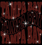 Tampa Bay Rhinestone Shirt: Game Day Tailgate Party Sparkle Tee
