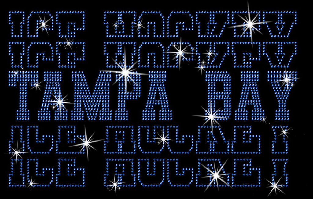 Tampa Bay Ice Hockey Rhinestone Shirt: Unique Hockey Sparkle Tee