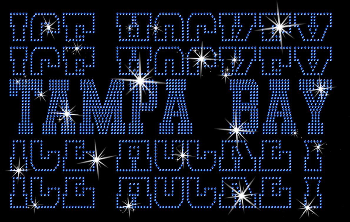 Tampa Bay Ice Hockey Rhinestone Shirt: Unique Hockey Sparkle Tee