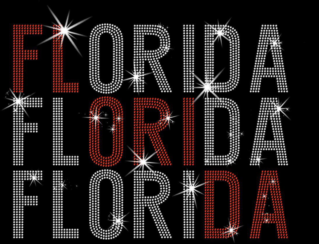 Florida Rhinestone Shirt: Hockey Team Retro Bling Hoodie