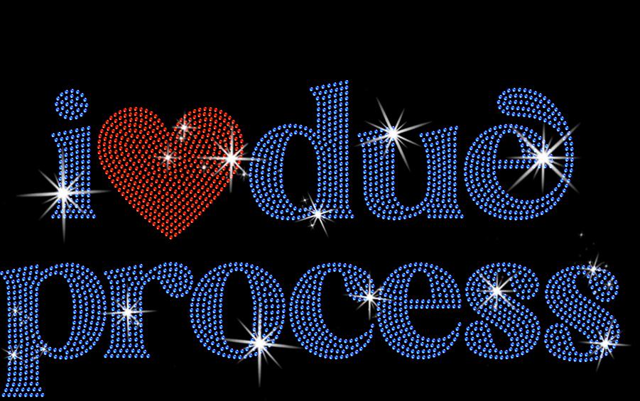 I Heart Love Due Process Rhinestone Shirt: Sparkly Justice Tee