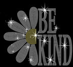 Be Kind with Daisy Rhinestone Shirt: Kind Loved Worthy Outfit