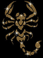 Scorpion Rhinestone Shirt: Zodiac Bling T-Shirt & Sweatshirt
