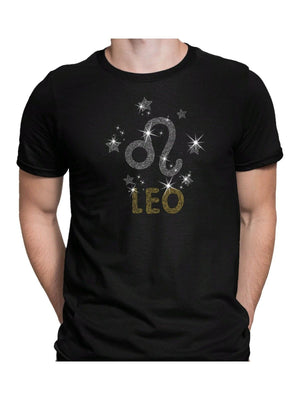 Leo Shirt, Zodiac Sign T-shirt, Astrology Tee, Leo Shirt, Aries Shirt, Aquarius Shirt, Pisces Retro zodiac Tee, Vintage feel shirt