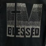 Religious I am Blessed Rhinestone Bling T-Shirt, Inspired Christian Shirt, Cute Cross Shirt, Truth and Love Clothing, Christian Mom Tee