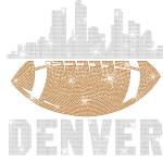 Denver Rhinestone T-Shirt, Chic Glittering Shiny Football Tee, Unique Fashion Sports Shirt, Game Day Shirt for Football Fans