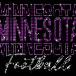Minnesota Rhinestone Sparkling Gameday T-Shirt, Football Lovers Idea for Team Fan Shirt, Perfect Gift for Sunday Football, Funny Youth Shirt