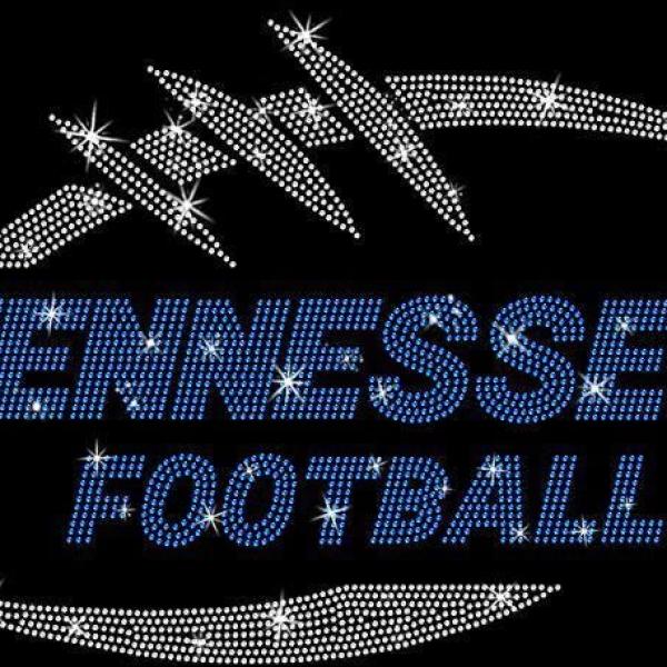 Tennessee Game Day Rhinestone T-Shirt, Football Gameday Tee, Mascot Game Day Tailgate Shirt, Retro Vintage Aesthetic Shirt, Gift for Her