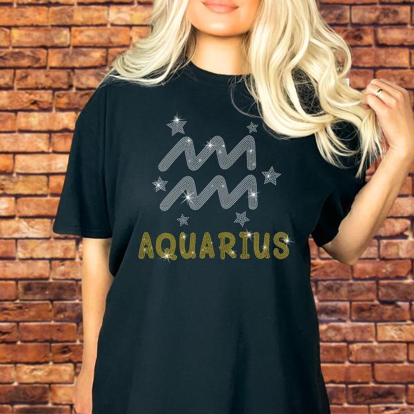 Aquarius Rhinestone T-Shirt, Zodiac Birthday Gift for Your loving, Horoscope Zodiac Astrologer Sign Shirt, Water Bearer Sign Unisex Tee